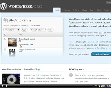 Wordpress How to Videos make learning wordpress easy!