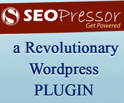 Wordpress SEO Plugin called SEOPressor