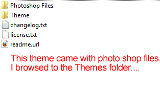 WordPress theme files