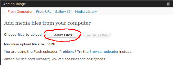 select the file you wish to upload to your page or post